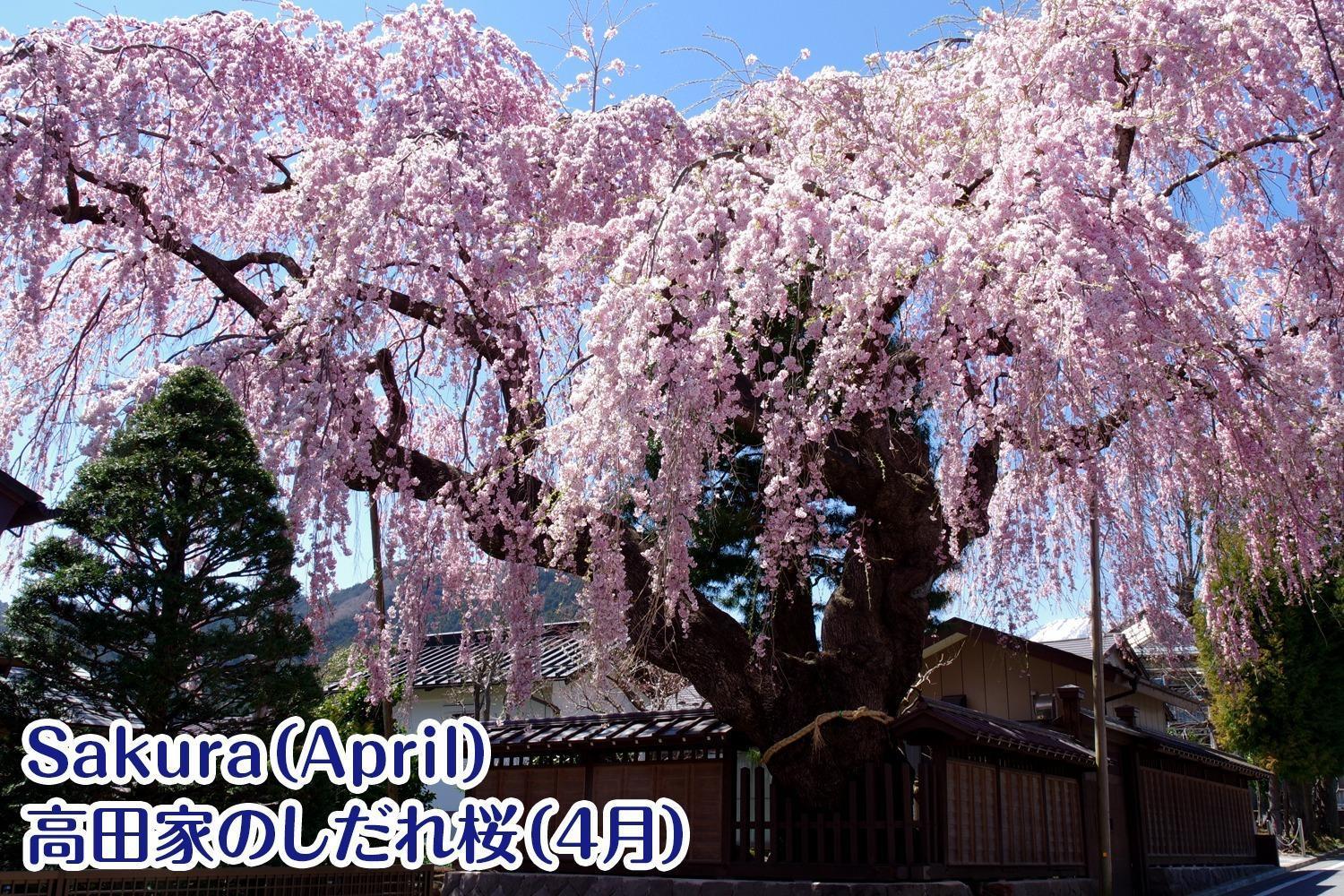 Nikko Stay House Arai - Vacation Stay 14994V Esterno foto